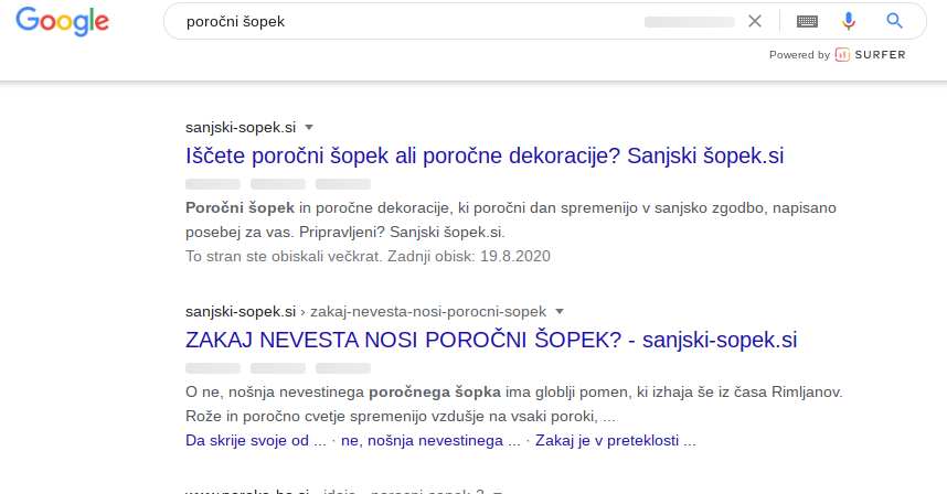 iskalni marketing porocni sopki