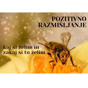 pozitivno razmišljanje želje